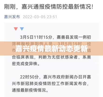 嘉兴疫情最新动态更新