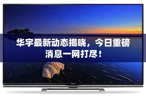 华宇最新动态揭晓,今日重磅消息一网打尽!