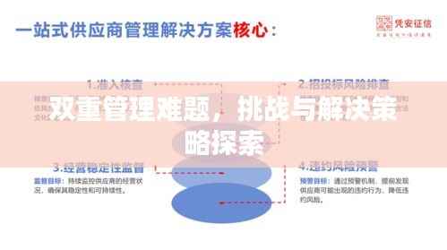 双重管理难题，挑战与解决策略探索
