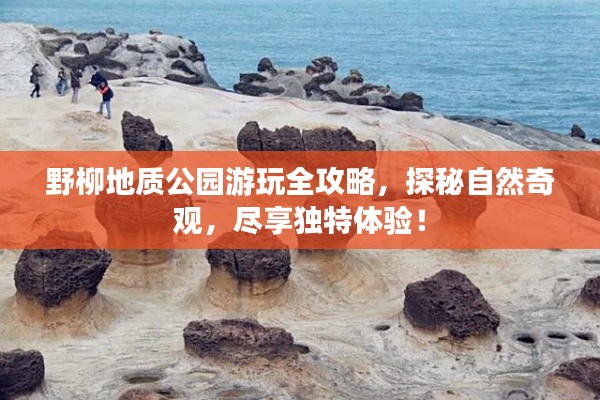 野柳地质公园游玩全攻略，探秘自然奇观，尽享独特体验！