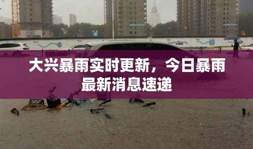 大兴暴雨实时更新,今日暴雨最新消息速递