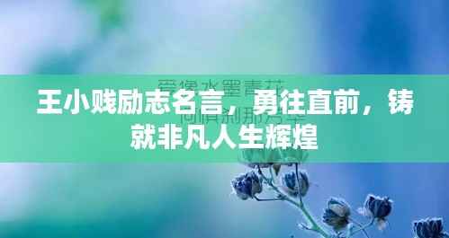 王小贱励志名言,勇往直前,铸就非凡人生辉煌