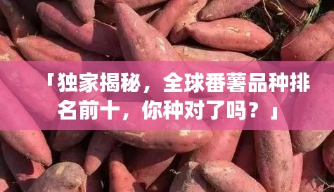 落落大方