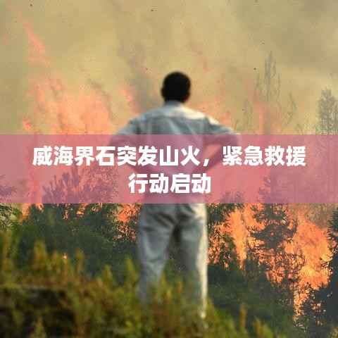 威海界石突发山火,紧急救援行动启动